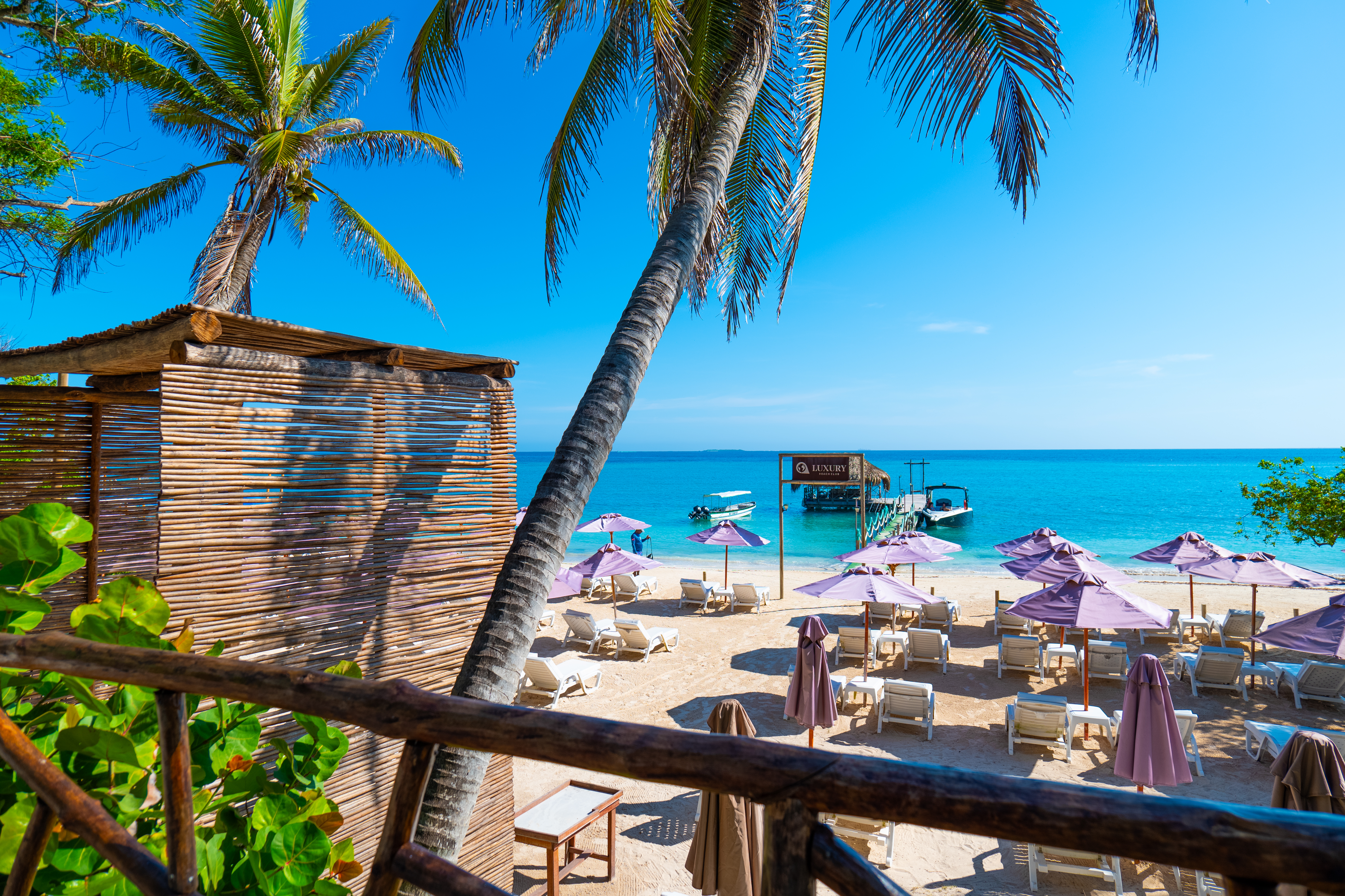 LUXURY HOUSE OPEN  BAR