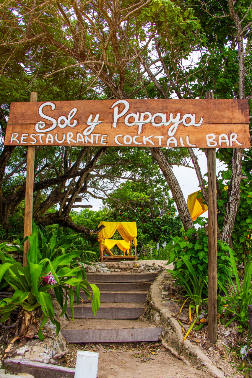 SOL Y PAPAYA FULL DAY