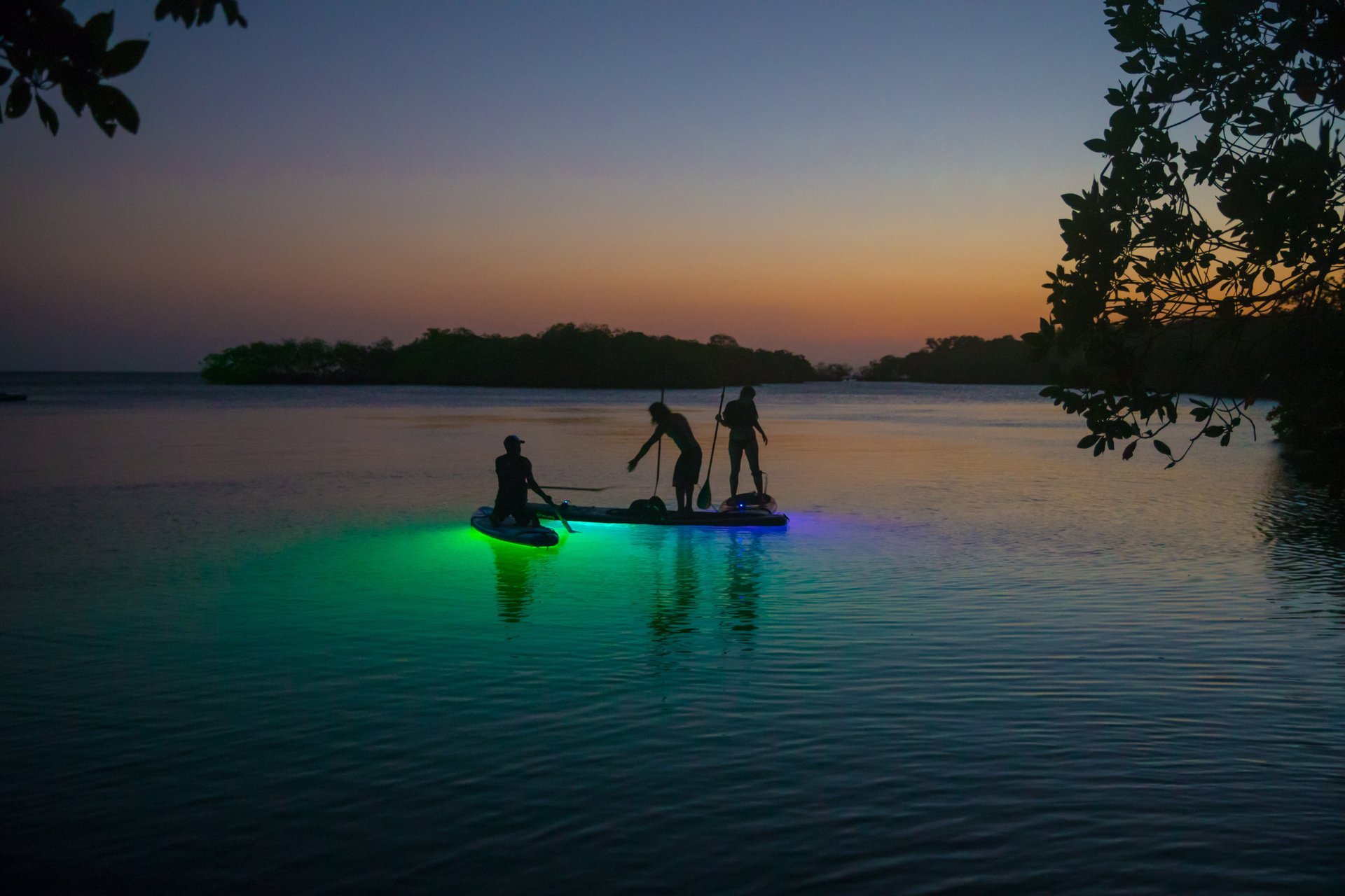 PLANCTON LUMINOSO 