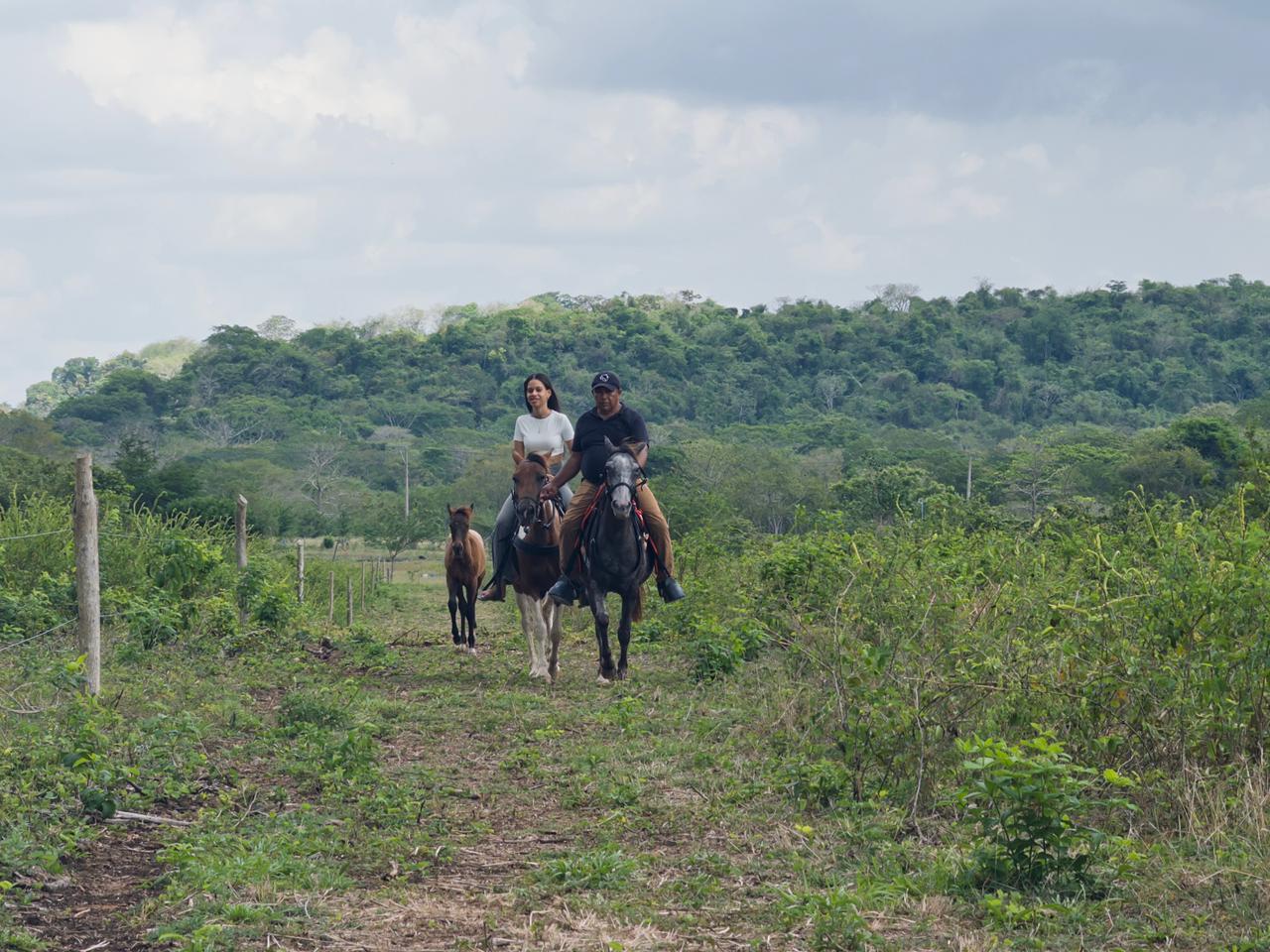 Ruta Macondo Aventura Cultura y Experiencia Local 