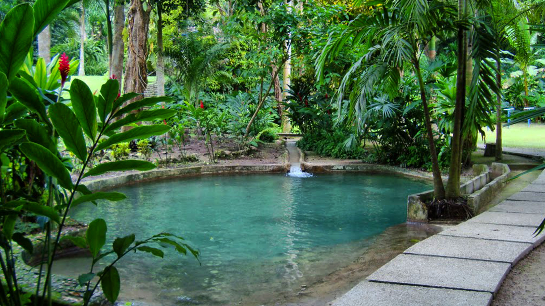 Visita guiada en Turbaco y el Jardín Botánico con almuerzo.